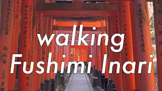 Walking Fushimi Inari Shrine, Kyoto