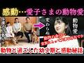 【まさかの!?】愛子さま世界獣医師会大会異例の臨席。愛子さまの隠された動物愛に世間が感動【皇室】