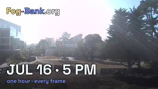 FogCam · July 16, 2026 · 5 pm PT · one hour, every frame