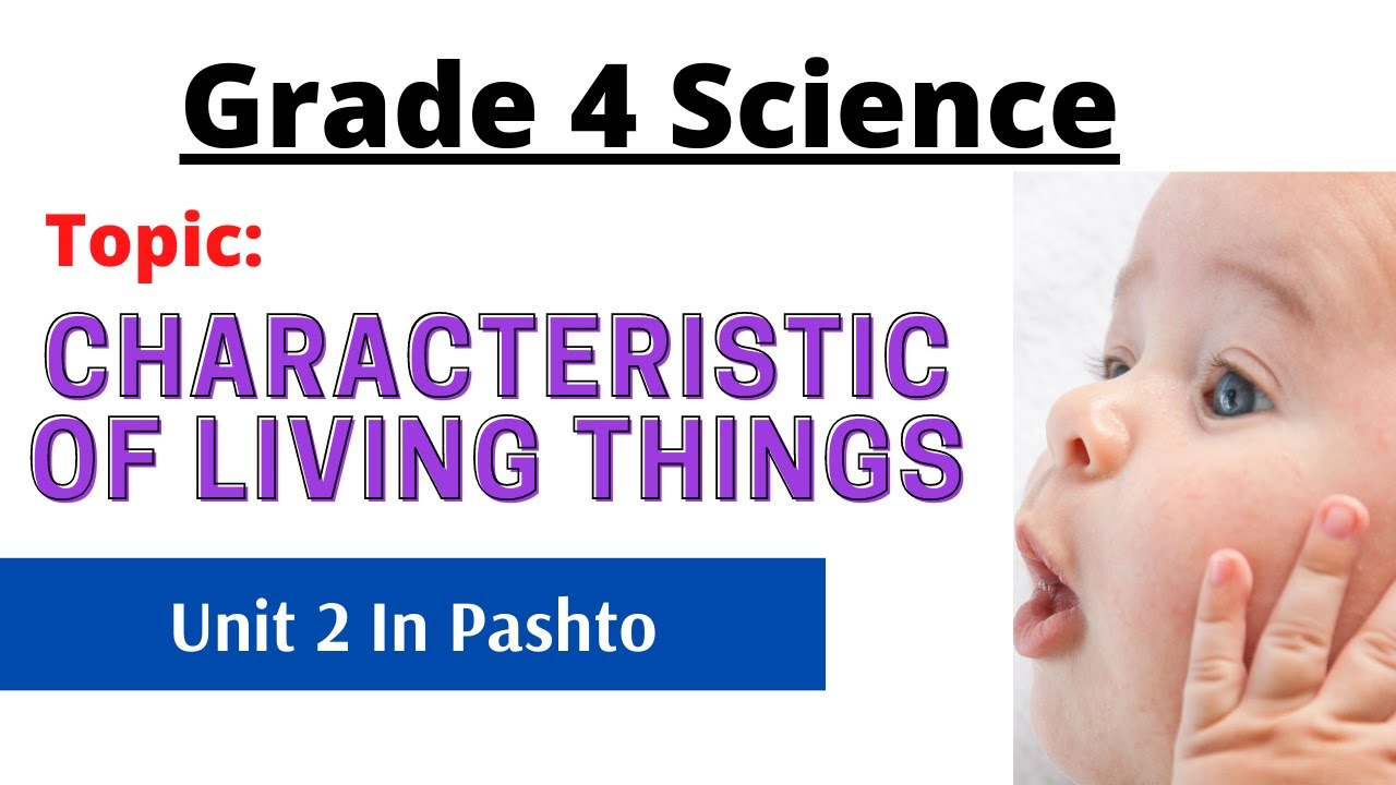 Characteristics of science. Characteristics of science