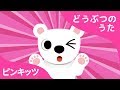 ホッキョクグマ | どうぶつのうた | ピンキッツ童謡