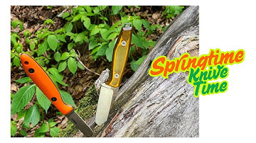 Omesio VS Jeabrother Compact Fixed EDC (low budget high value)