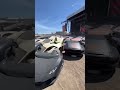 Lambo mosh pit
