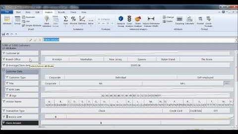 Basic Data Analysis using InfoZoom, Creating Functions