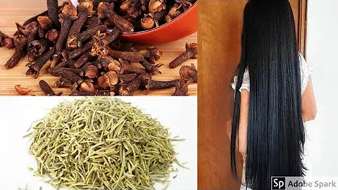 Quais os benefícios do Vitex?