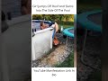 Girl Jumps Off Roof And Slams Into The Side Of The Pool