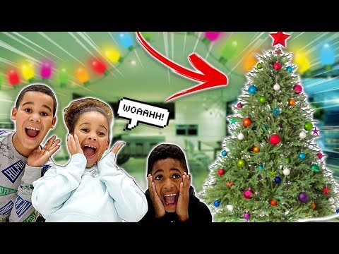 putting-up-our-new-christmas-tree!!