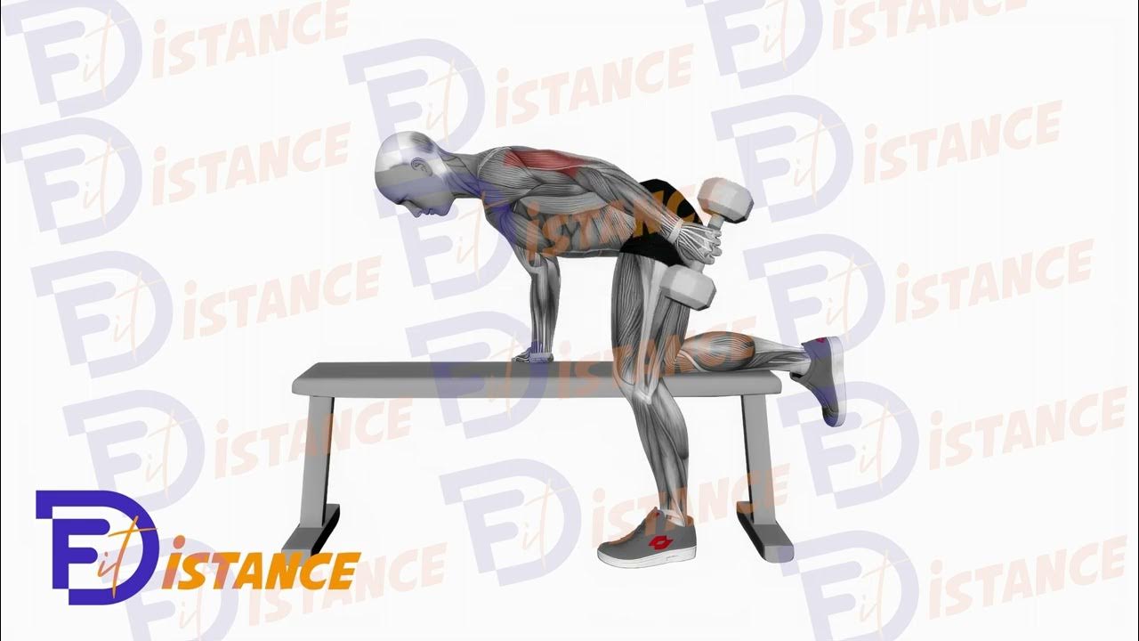 Kickback Extension arrière des triceps avec haltères genou sur un