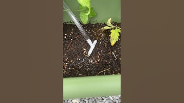 ラズパイで遠隔水やりマシーン作ったった#raspberrypi