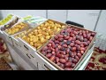 مهرجان التمور الأول بمحافظة السليل يشهد وفرة بالمعروض وإقبالا من الزوار mp3
