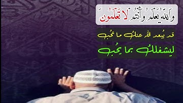 وَاللَّهُ يَعْلَمُ وَأَنْتُمْ لا تَعْلَمُونَ ||  احمد العجمى || سورة البقرة || حالات واتس اب دينية |