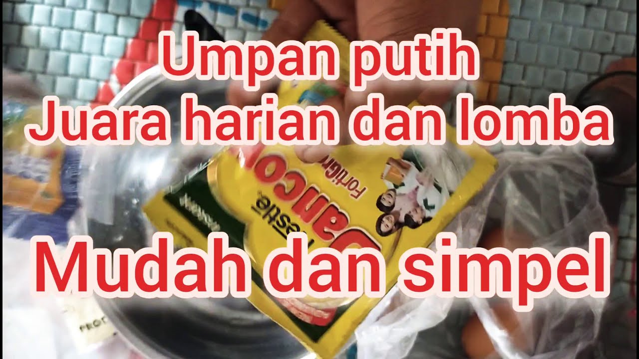 Umpan putih ikan mas babon dan rame air hijau dan air Coklat