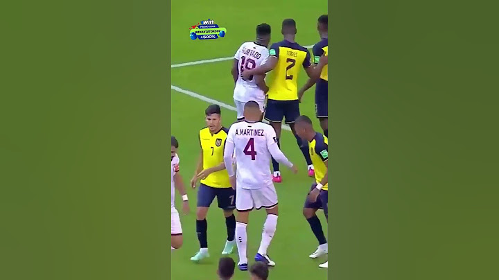 Goles que pusieron al estadio de pie