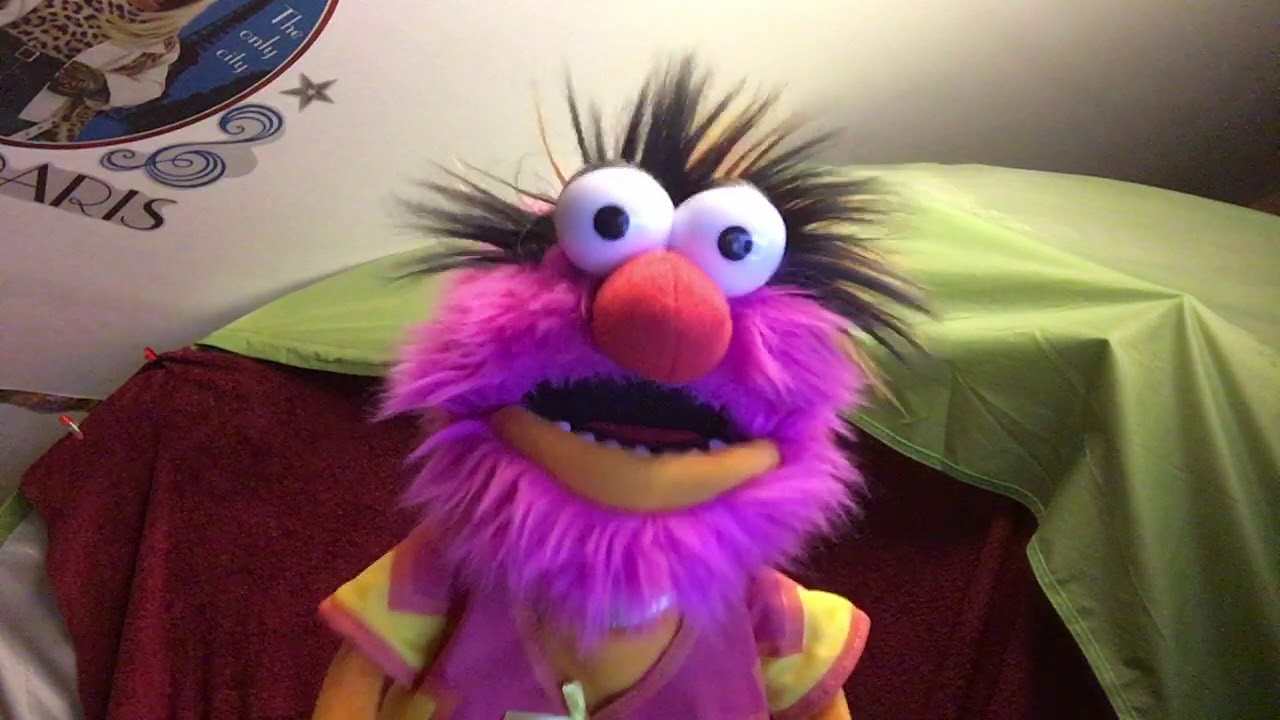 Animal Sings Jump - YouTube