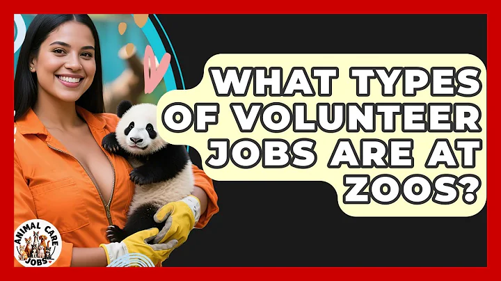 What Types Of Volunteer Jobs Are At Zoos? - Animal Care Jobs