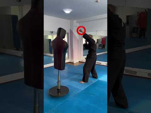 Видео: Tutorial: Revers side kick