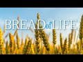 Bread of life lyric official
