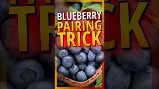 Blueberries: The Protein Pairing Diabetics Miss