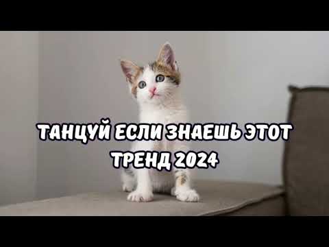 💗ТАНЦУЙ ЕСЛИ ЗНАЕШЬ ЭТОТ ТРЕНД 2024💗