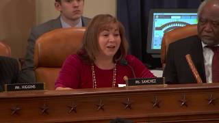 Rep. Linda Sánchez at Ways &amp; Means Infrastructure Hearing March 6, 2019