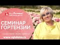 Гортензии - семинар