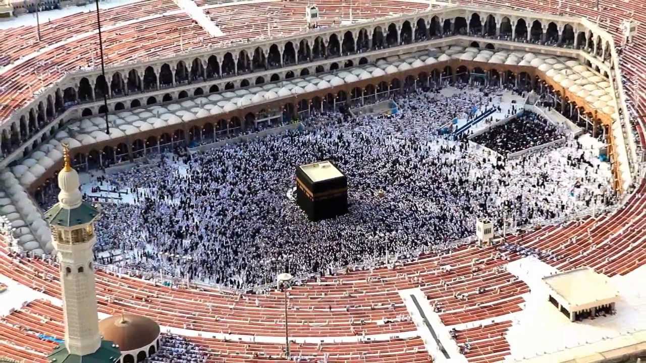 قدرها عالي أداء أ.زياد الصاعدي | الهوية الصوتية لحملة الطهر