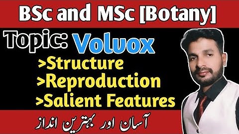 VOLVOX(Algae)| Structure| Reproduction| Salient Features