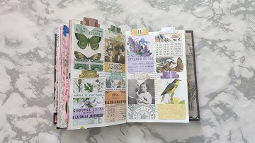 Altered Book | Final Flip Through