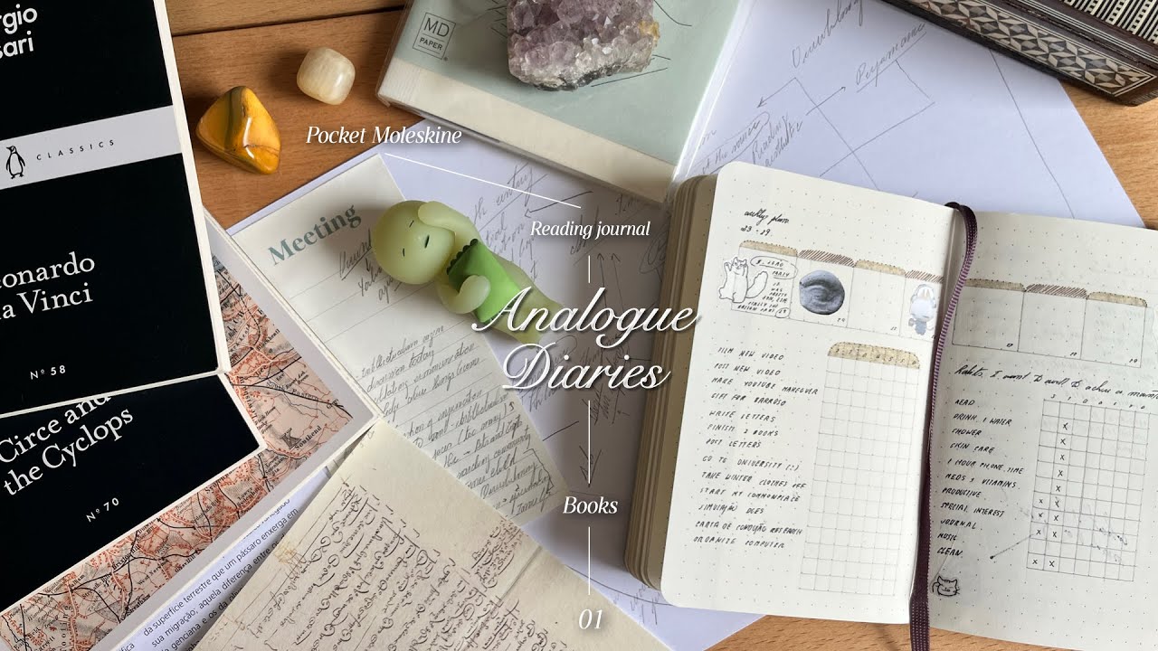 ✴︎ analogue diaries ✴︎ ch. 01 • pocket moleskine, reading journal, moments