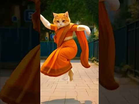Heart Touching Biral Dance Biral Biralnache Bilai Shortsfeed Catdance Catvideos