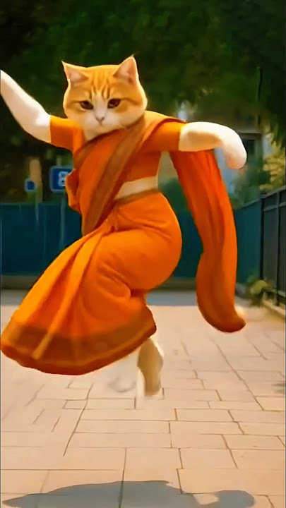 Heart-touching Biral dance  #biral #biralnache #bilai #shortsfeed #catdance #catvideos