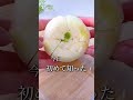 えっ！玉ねぎってこう切るの⁉️