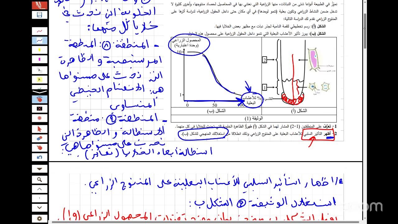 تمرين تطبيقي حول النمو والتجديد الخلوي