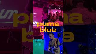 puma blue concerts fyp jazz