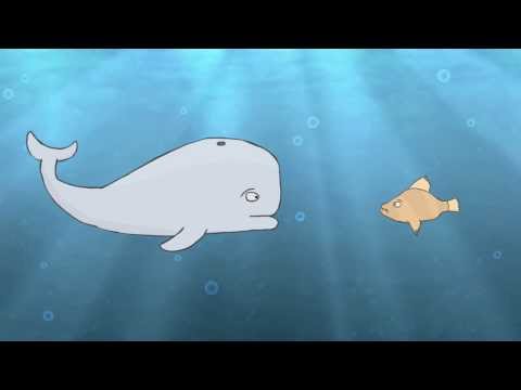 A Depressed Whale