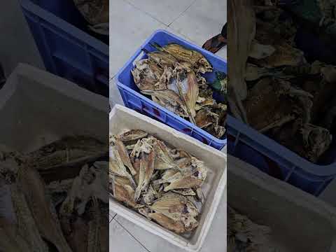 حوت ناشف سمكة عاطف