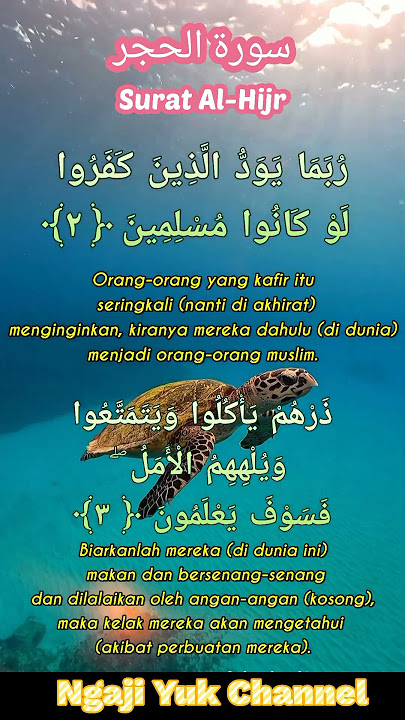 Surat Al-Hijr Ayat 2-3