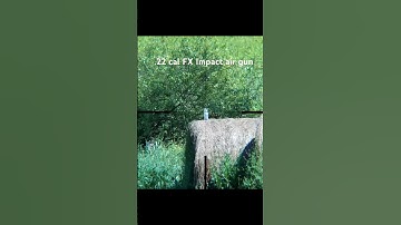 Rifle Scope cam footage Trigger cam 2.1