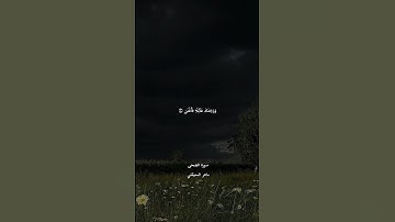 #سورة_الضحى #ماهر_المعيقلي 🩵