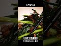 ご飯に、豆腐に、そうめんに。何もかも止まらなくなるニラのガーリックベーコンオイルマリネ。
