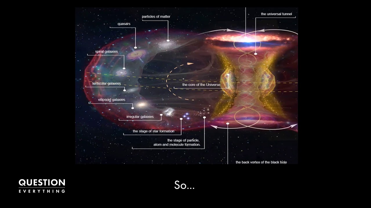William Brown: Toroidal Geometry Of The Universe