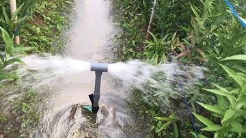 Máy tưới nước chế máy cắt cỏ