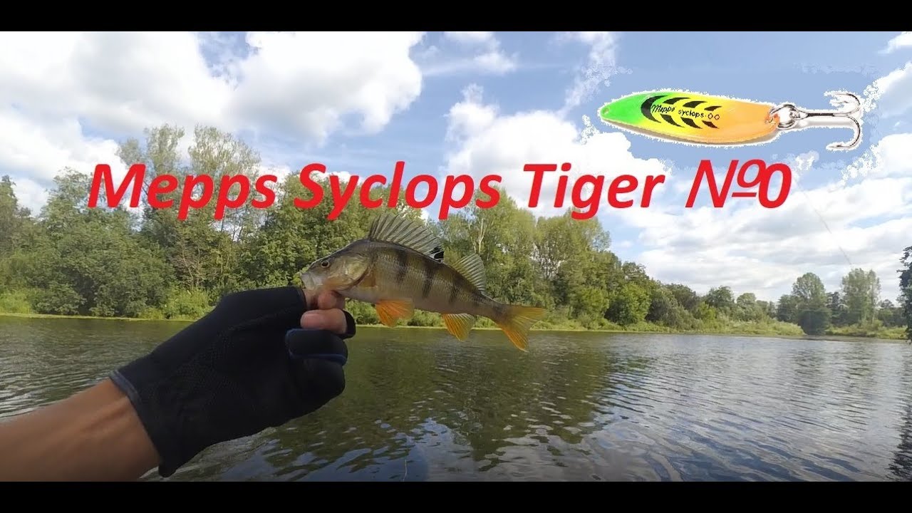 Mepps Syclops Tiger №0 Два дня рыбачил на колебалку))