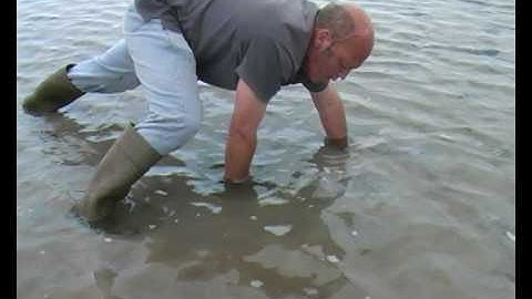 Gaelic Documentary: Catching razorfish