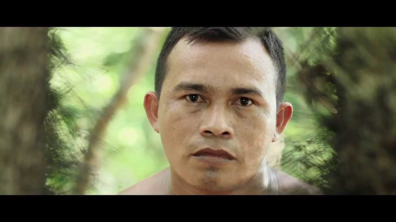 A Floresta de Jonathas (Jonathas' Forest) - YouTube