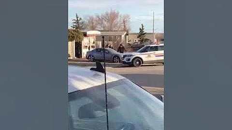 RCMP and Animal Control move Leila