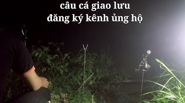 CÂU CÁ TRA Ở ĐIỂM NÀY CÁ ĂN KHÔNG BÓP MỒI.