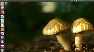 It@Linux 6 Chapter 2 Part 2