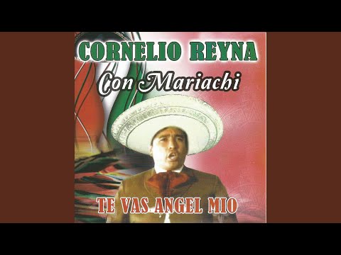 Ver El hijo del pecado en YouTube Ver El hijo del pecado en YouTube