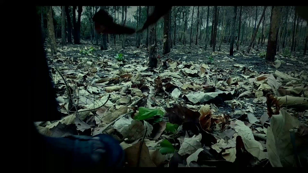 Introducing pushparaj 